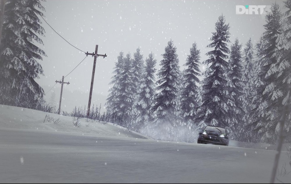 DiRT 3