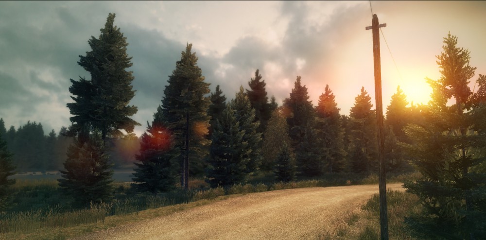 DiRT 3
