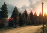 DiRT 3