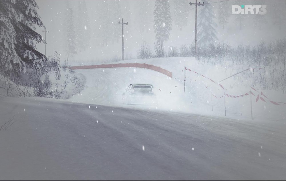 DiRT 3