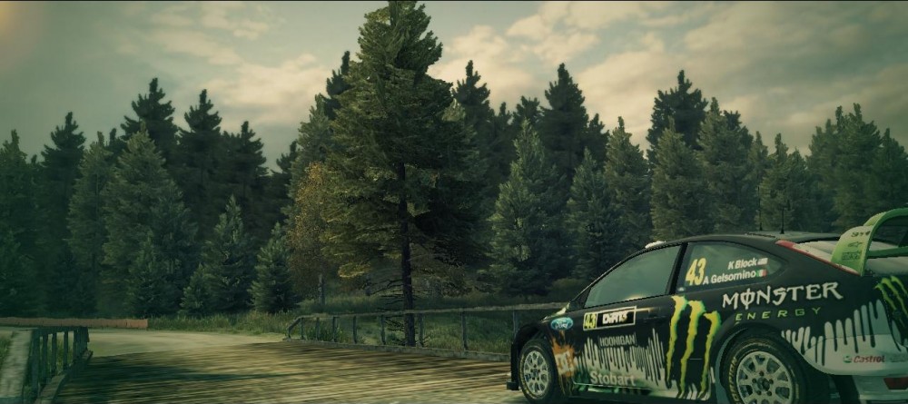 DiRT 3