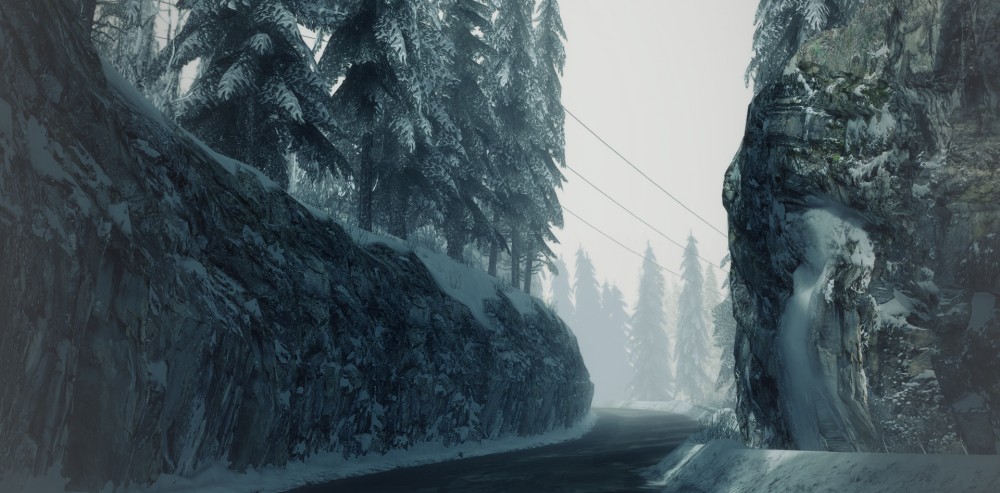 DiRT 3
