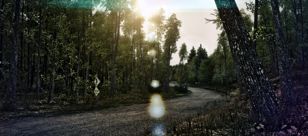 DiRT 3