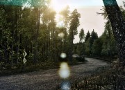 DiRT 3