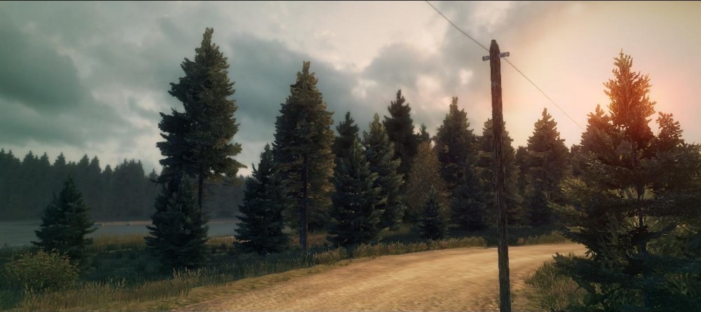 DiRT 3