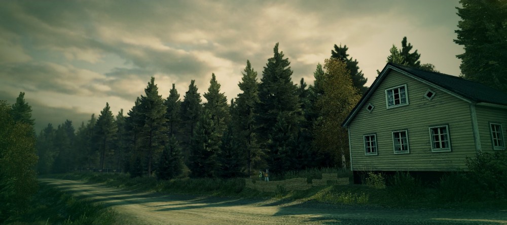 DiRT 3