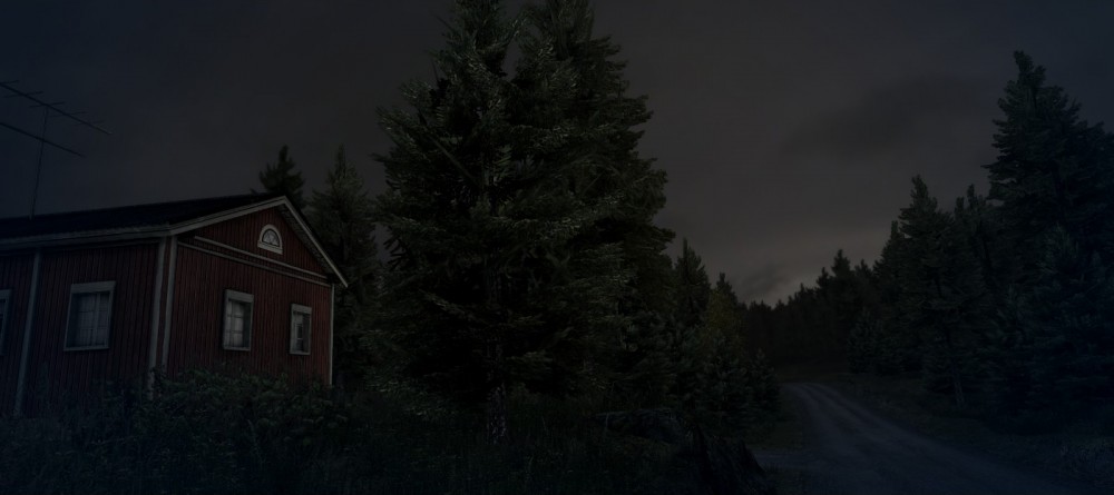 DiRT 3