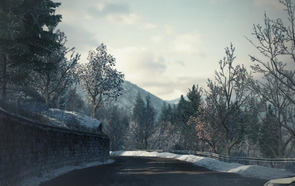 DiRT 3