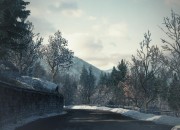 DiRT 3