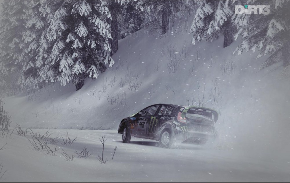 DiRT 3