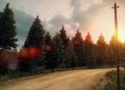 DiRT 3