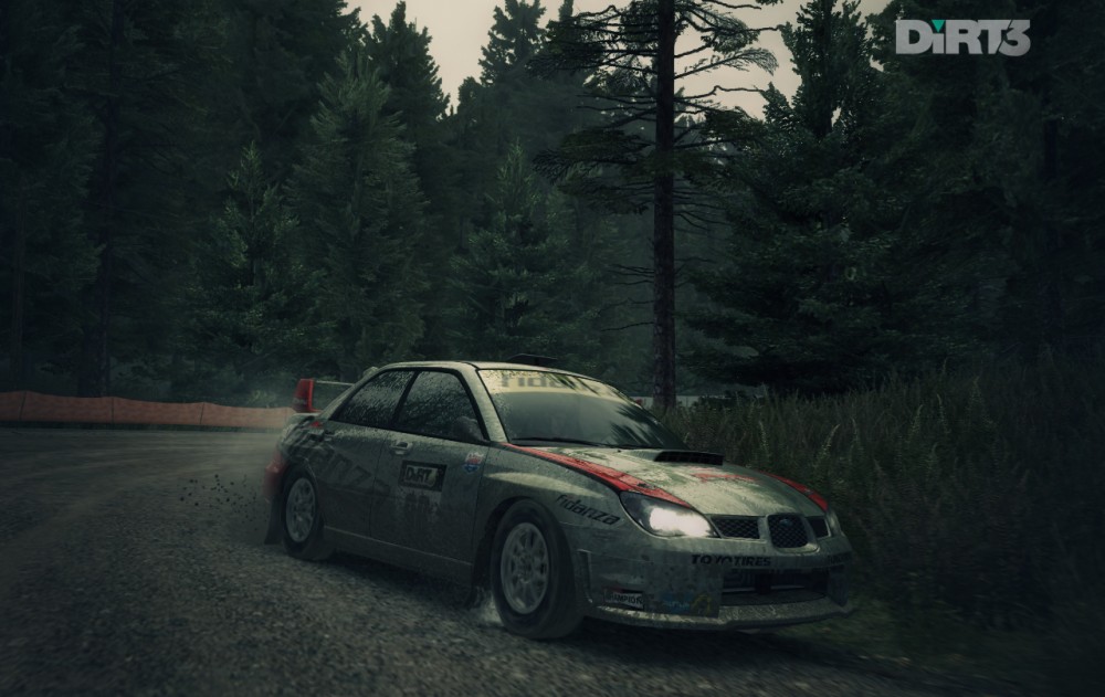 DiRT 3