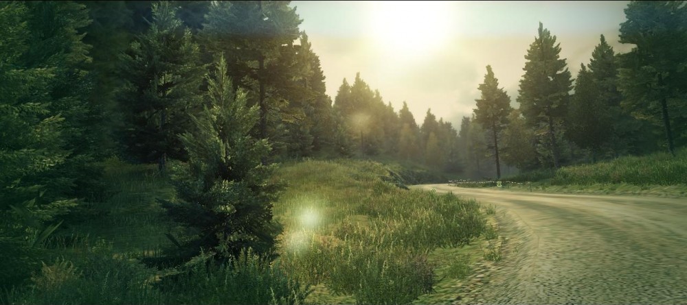 DiRT 3