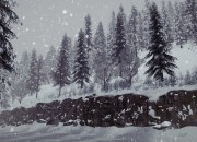 DiRT 3