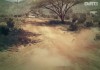 DiRT 3