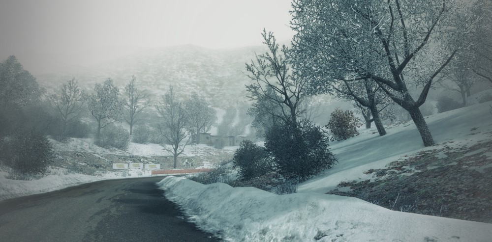 DiRT 3