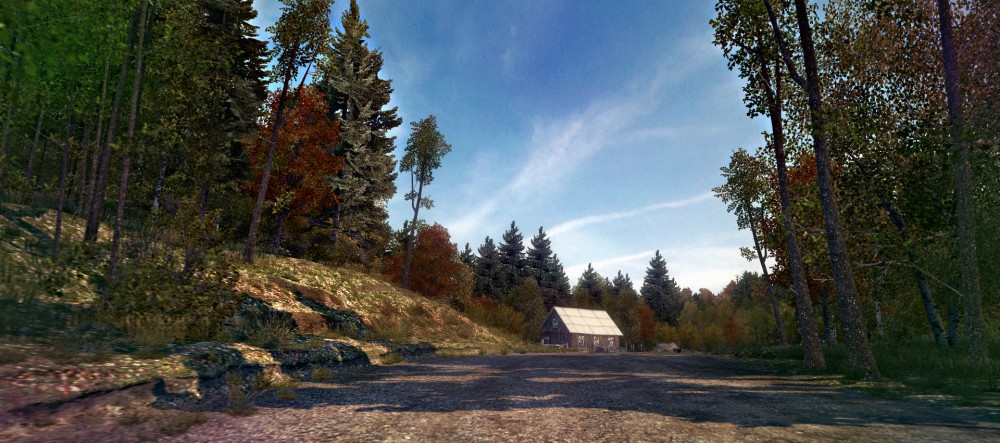DiRT 3
