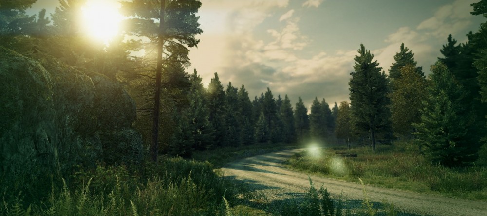 DiRT 3