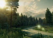 DiRT 3