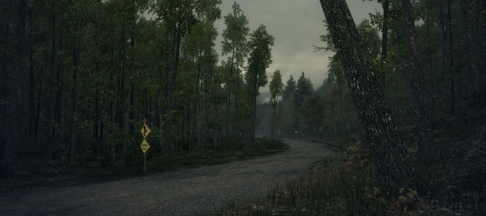 DiRT 3