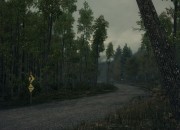 DiRT 3