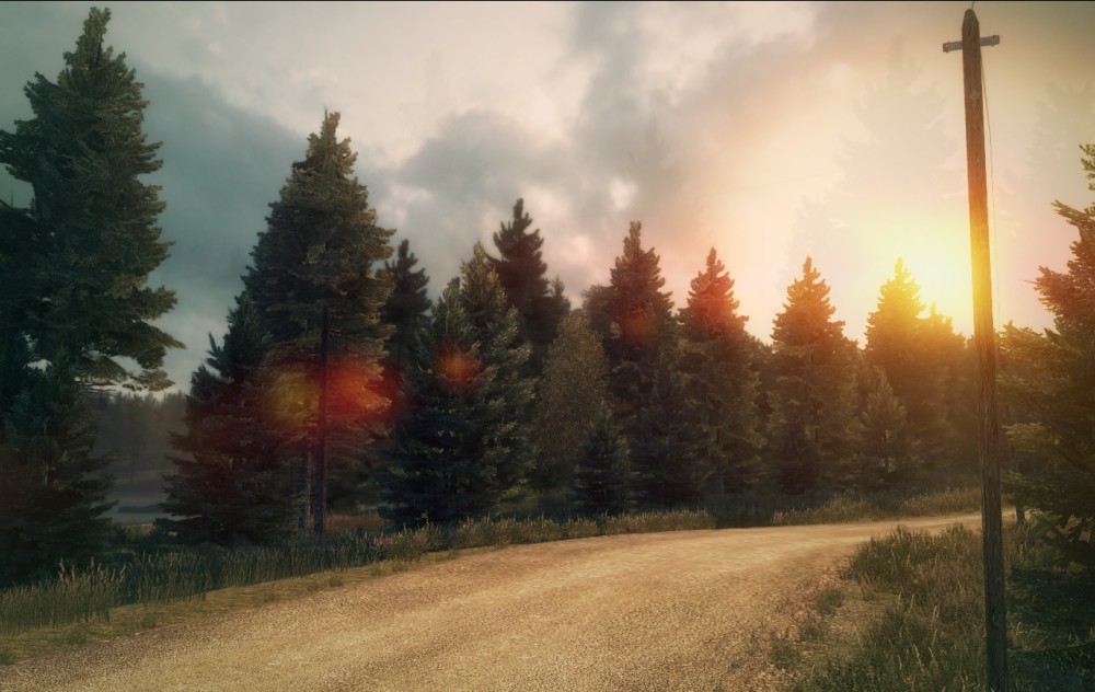 DiRT 3
