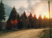 DiRT 3