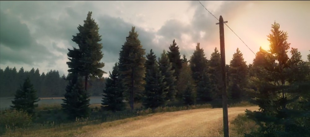 DiRT 3