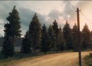 DiRT 3