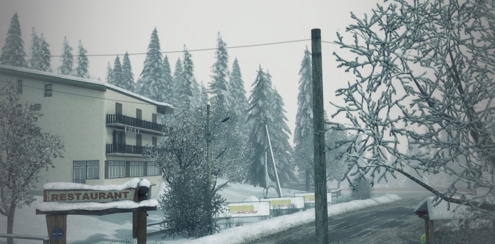 DiRT 3