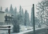 DiRT 3