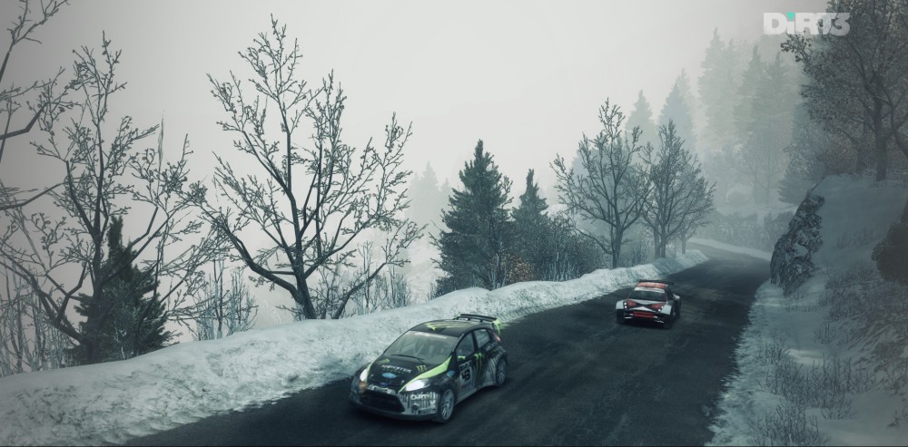 DiRT 3