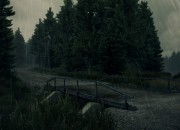 DiRT 3