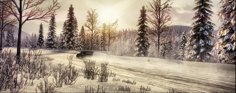 DiRT 3