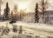 DiRT 3