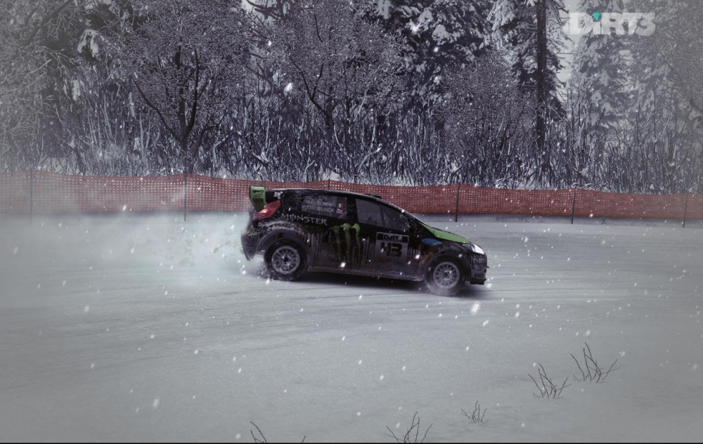 DiRT 3