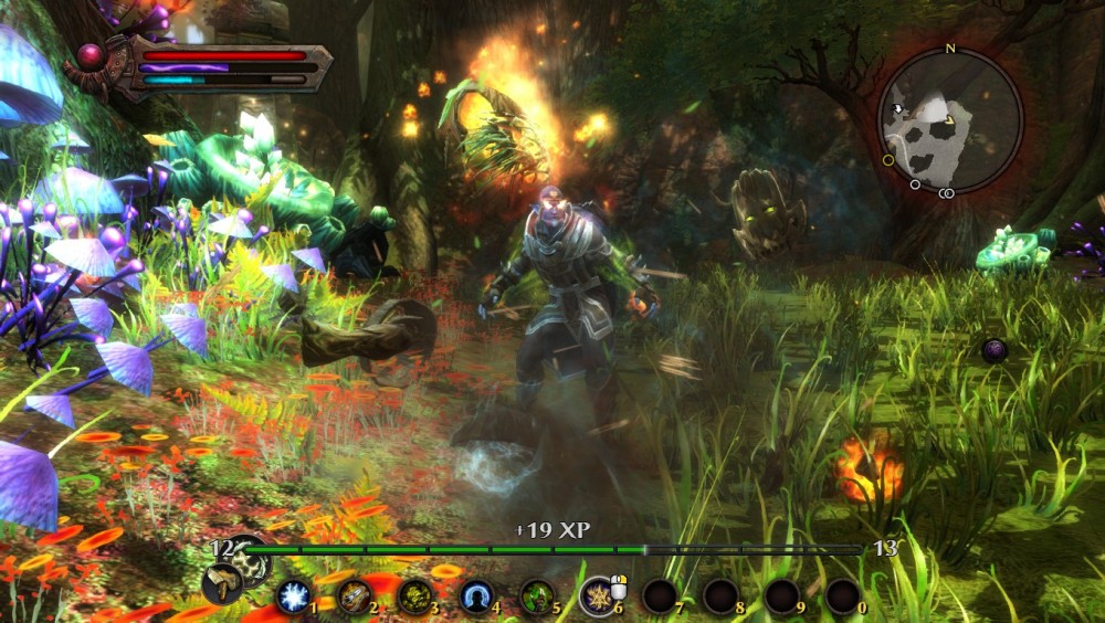 Kingdoms of Amalur: Reckoning