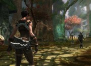 Kingdoms of Amalur screenshot