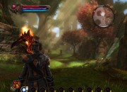 Kingdoms of Amalur: Reckoning