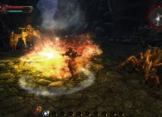 Kingdoms of Amalur screenshot