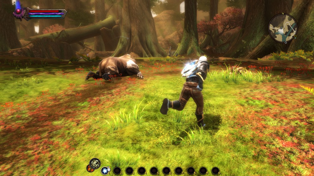 Kingdoms of Amalur: Reckoning