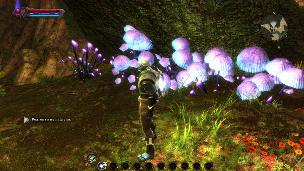Kingdoms of Amalur: Reckoning