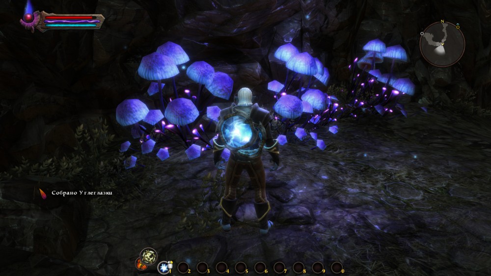 Kingdoms of Amalur: Reckoning