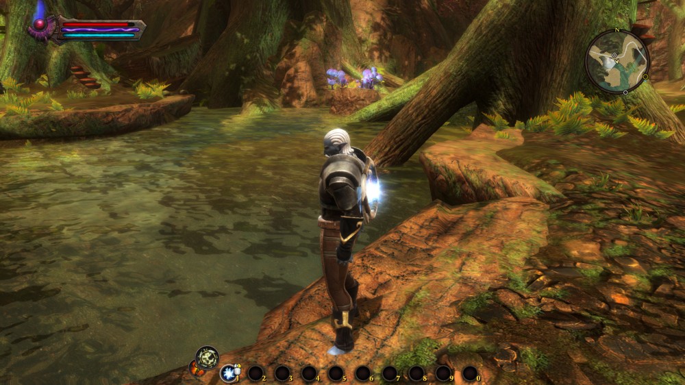 Kingdoms of Amalur: Reckoning