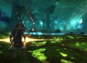 Kingdoms of Amalur screenshot