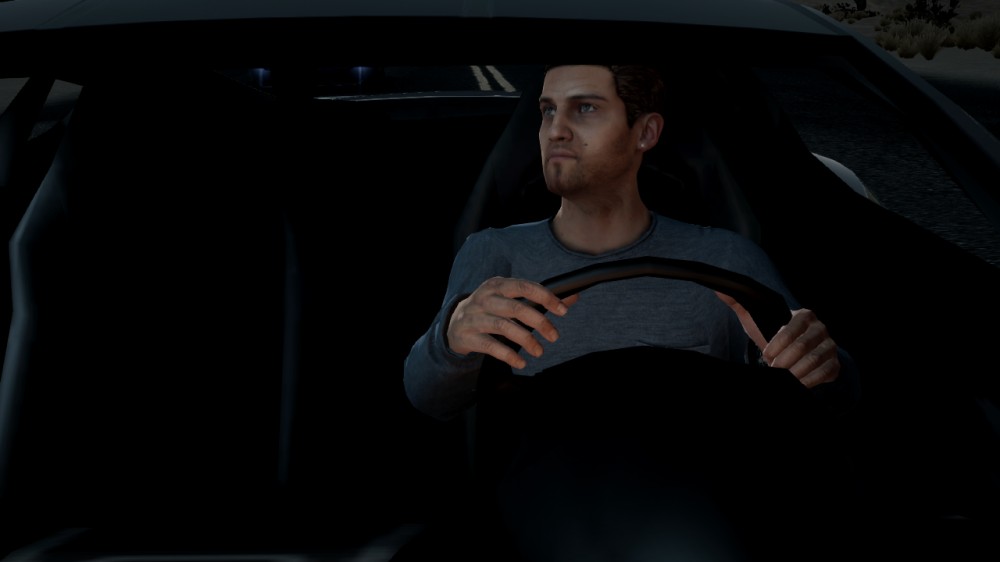 Need for Speed: The Run