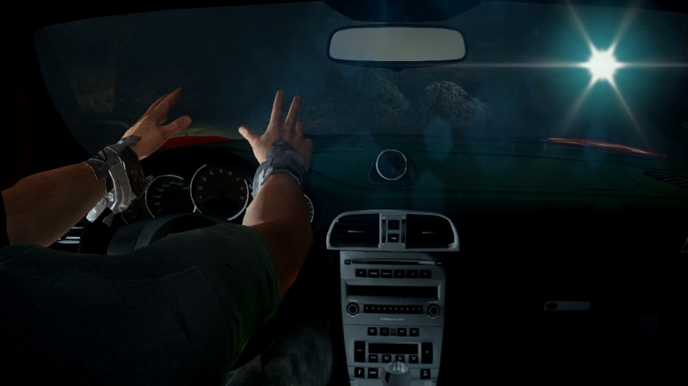 Need for Speed: The Run