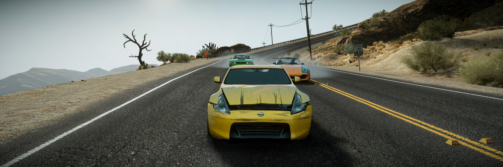 Need for Speed: The Run