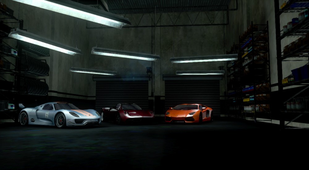 Need for Speed: The Run