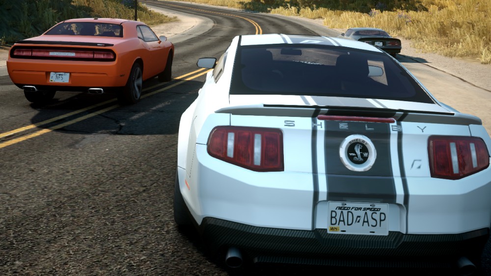 Need for Speed: The Run